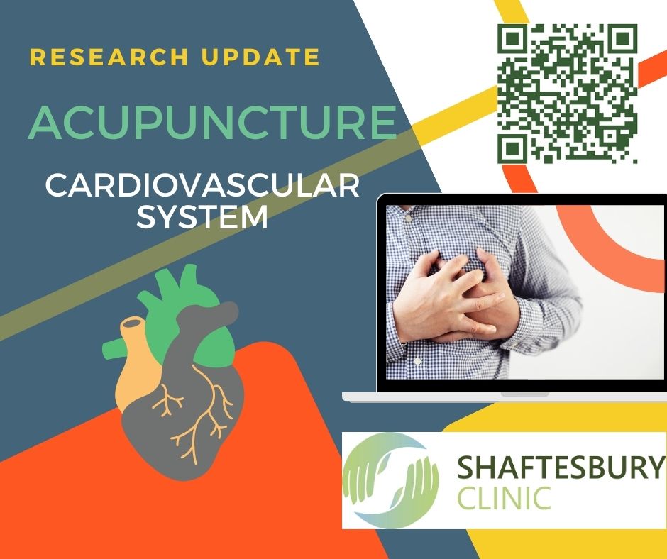 Acupuncture for the Cardiovascular system in Bedford, UK